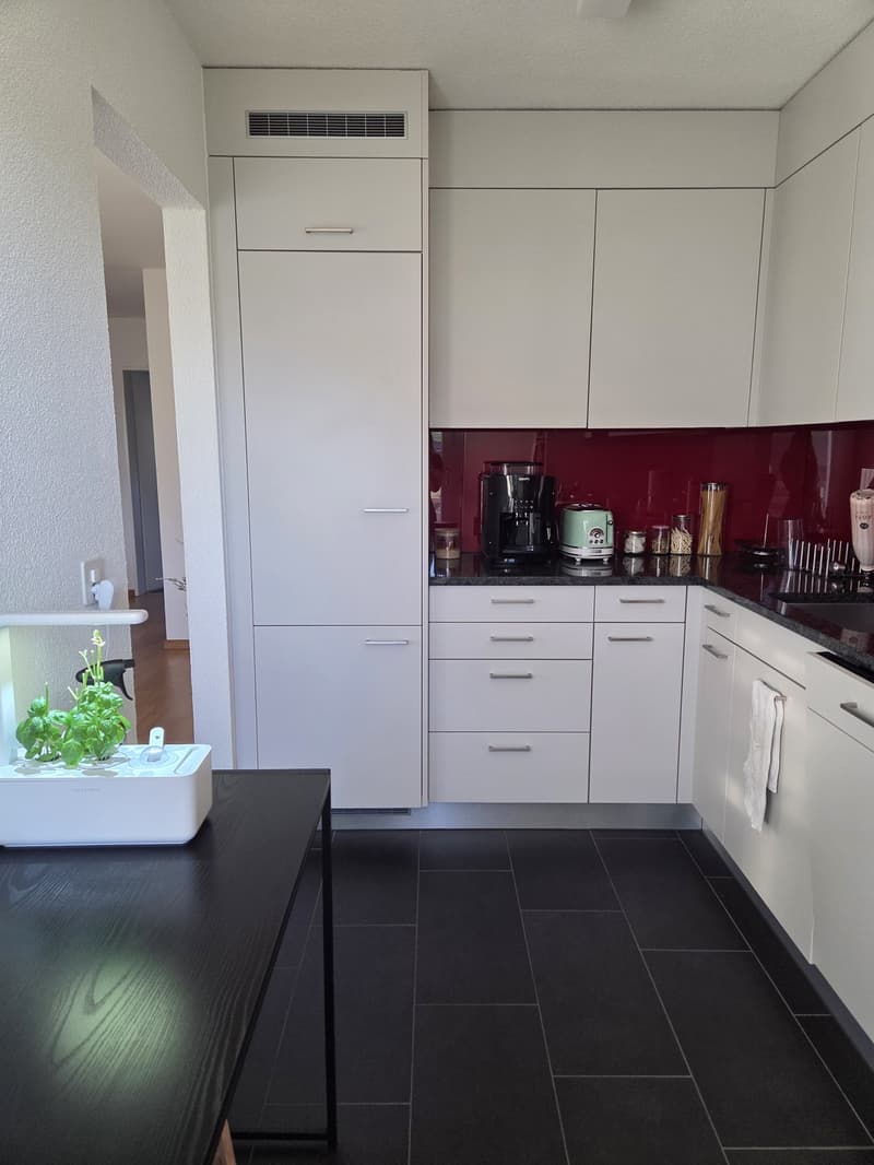 3.5 room apartment, 8955 Oetwil an der Limmat (3)