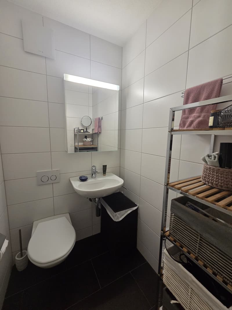 3.5 room apartment, 8955 Oetwil an der Limmat (6)