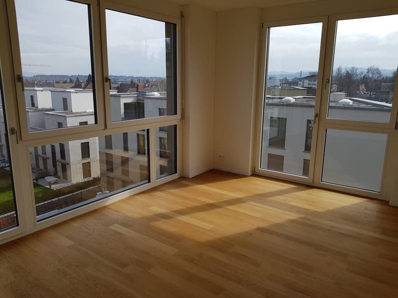 Beautiful 2.5 room apartment in Aarau, 95sqm (9)