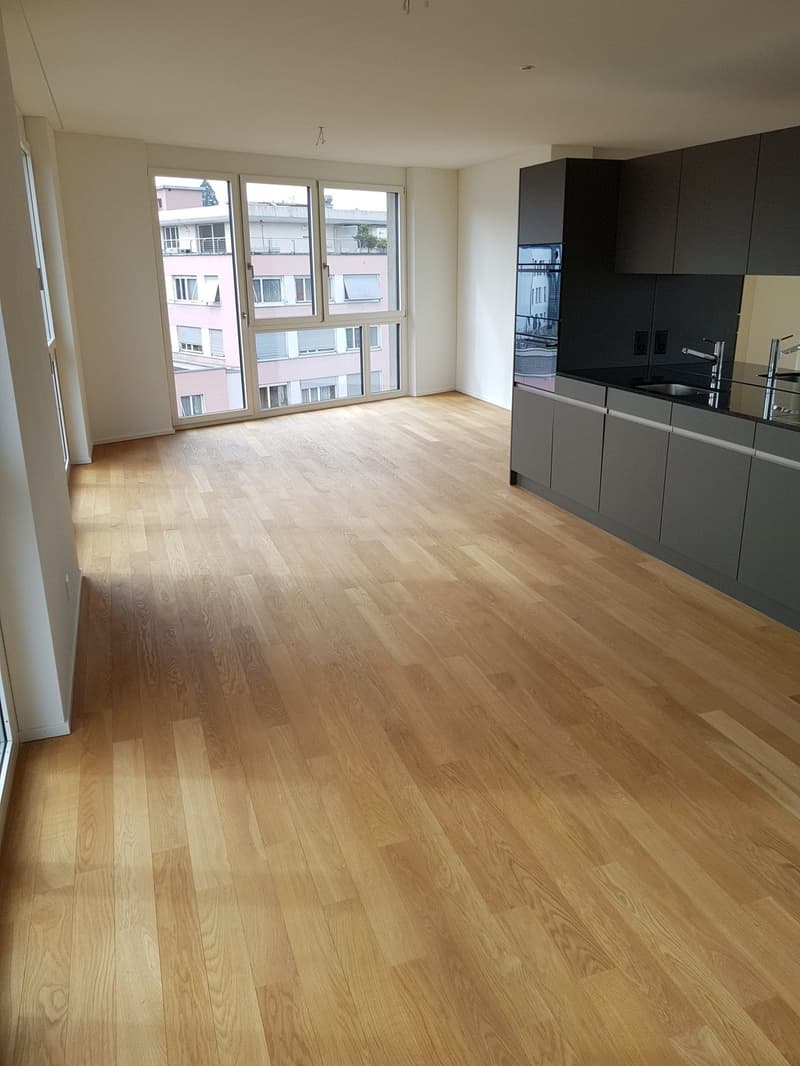 Beautiful 2.5 room apartment in Aarau, 95sqm (3)