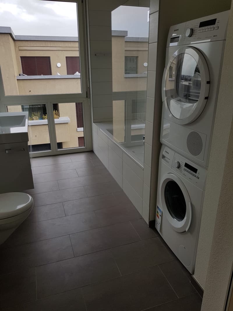 Beautiful 2.5 room apartment in Aarau, 95sqm (4)