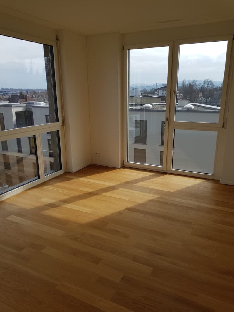 Beautiful 2.5 room apartment in Aarau, 95sqm (7)