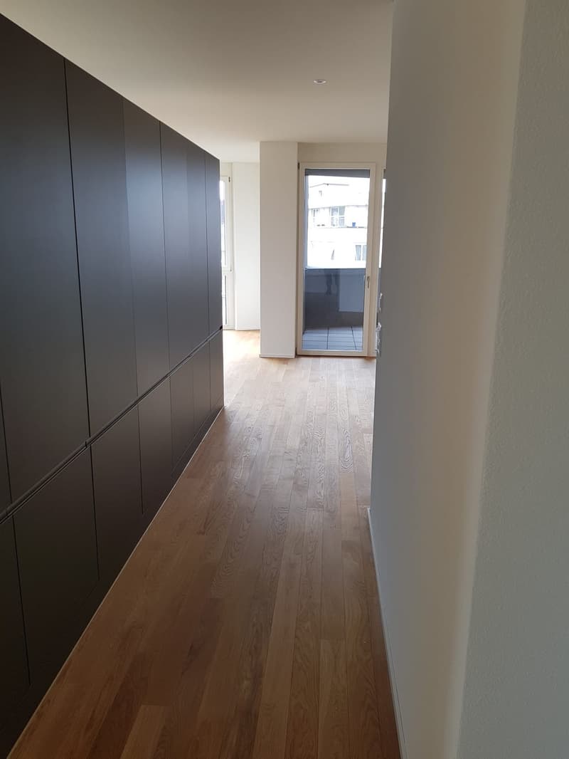 Beautiful 2.5 room apartment in Aarau, 95sqm (5)