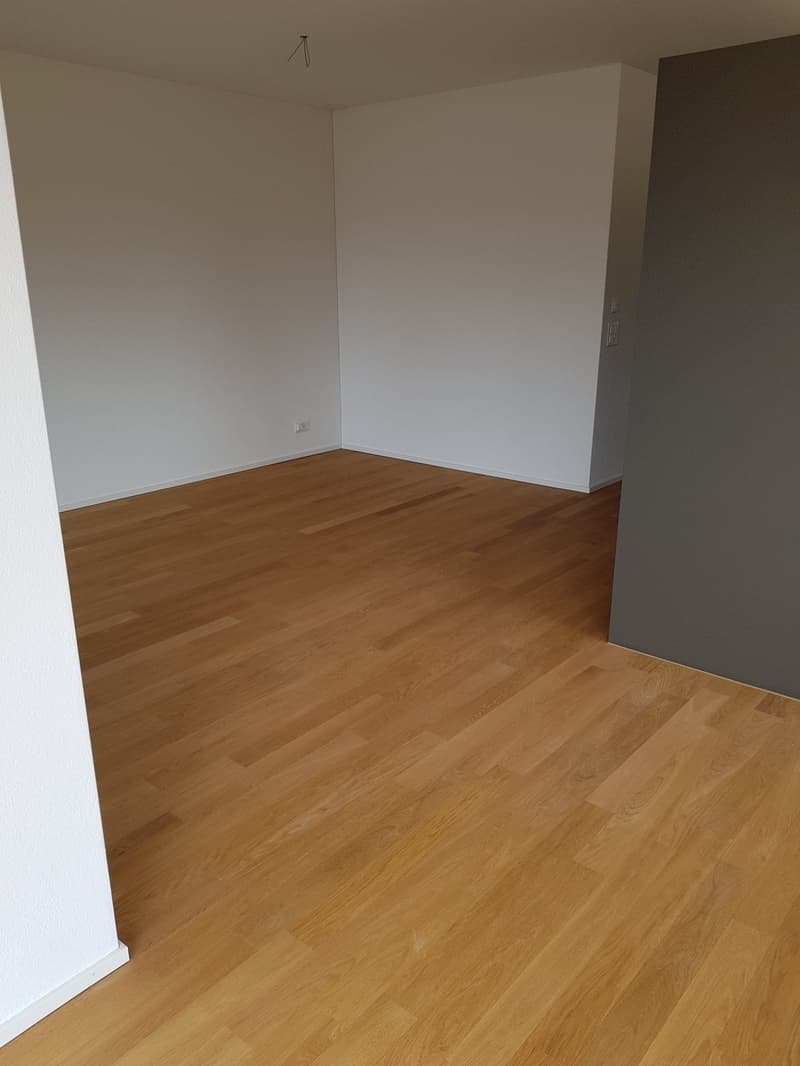 Beautiful 2.5 room apartment in Aarau, 95sqm (6)