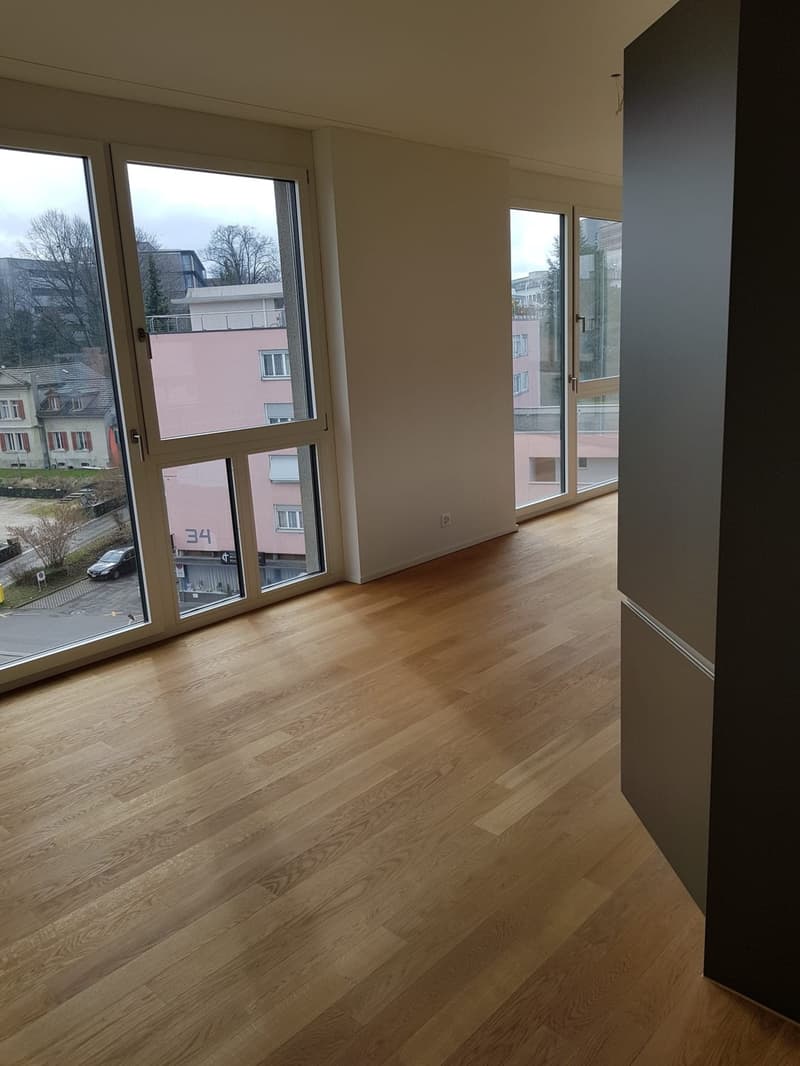 Beautiful 2.5 room apartment in Aarau, 95sqm (10)