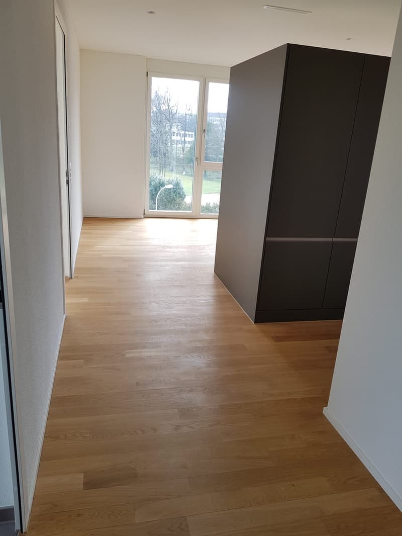Beautiful 2.5 room apartment in Aarau, 95sqm (2)
