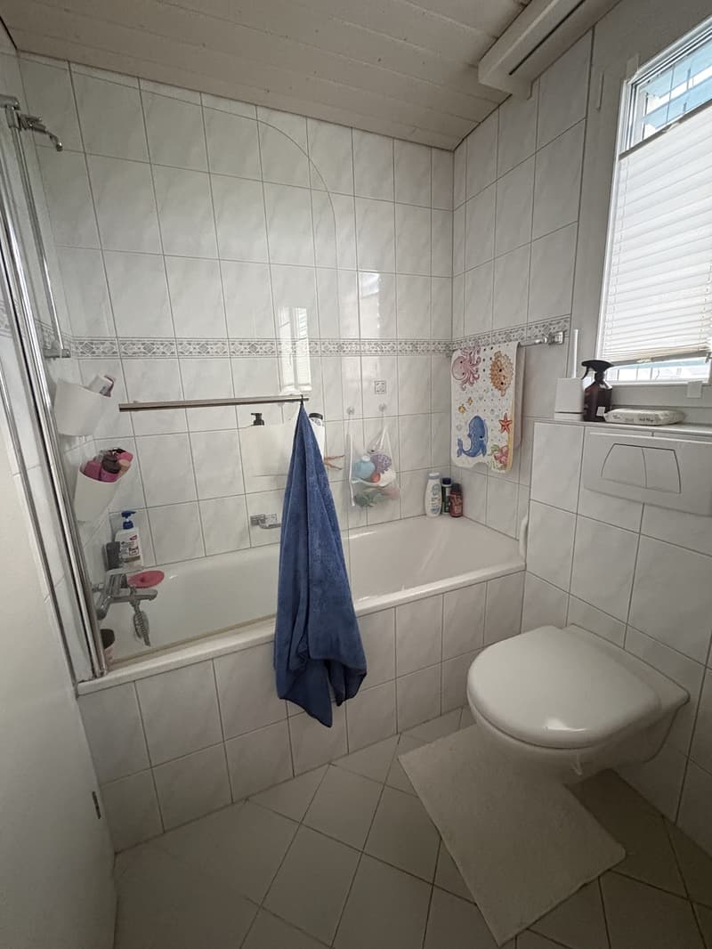 Nachmieter gesucht für helle offene Dachwohnung (8)