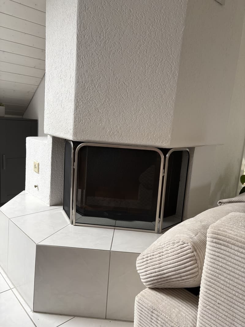 Nachmieter gesucht für helle offene Dachwohnung (5)