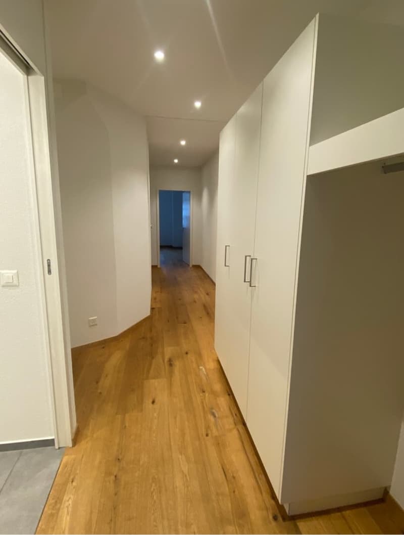 Wunderschöne 3 Zimmer-Wohnung mit sonniger Terrasse mitten in Bern (6)
