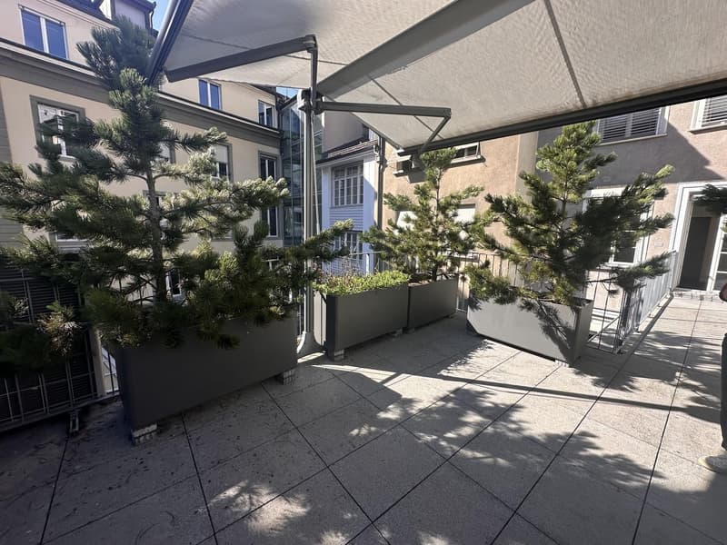 Wunderschöne 3 Zimmer-Wohnung mit sonniger Terrasse mitten in Bern (11)