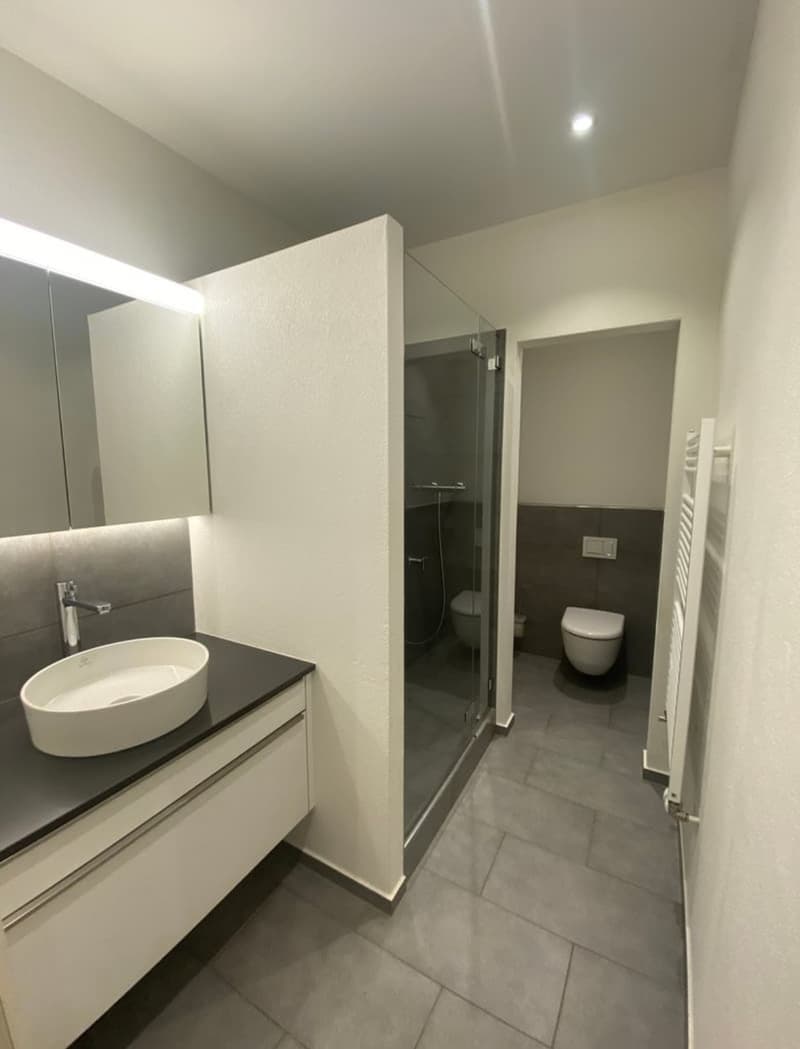 Wunderschöne 3 Zimmer-Wohnung mit sonniger Terrasse mitten in Bern (10)