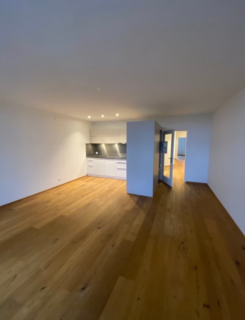 Wunderschöne 3 Zimmer-Wohnung mit sonniger Terrasse mitten in Bern (5)