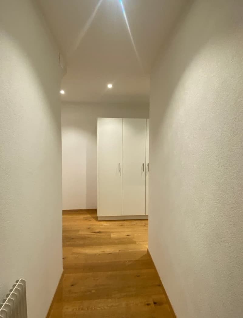 Wunderschöne 3 Zimmer-Wohnung mit sonniger Terrasse mitten in Bern (3)
