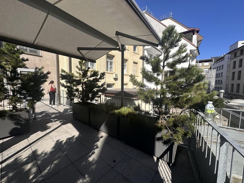 Wunderschöne 3 Zimmer-Wohnung mit sonniger Terrasse mitten in Bern (12)