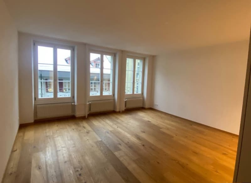 Wunderschöne 3 Zimmer-Wohnung mit sonniger Terrasse mitten in Bern (2)