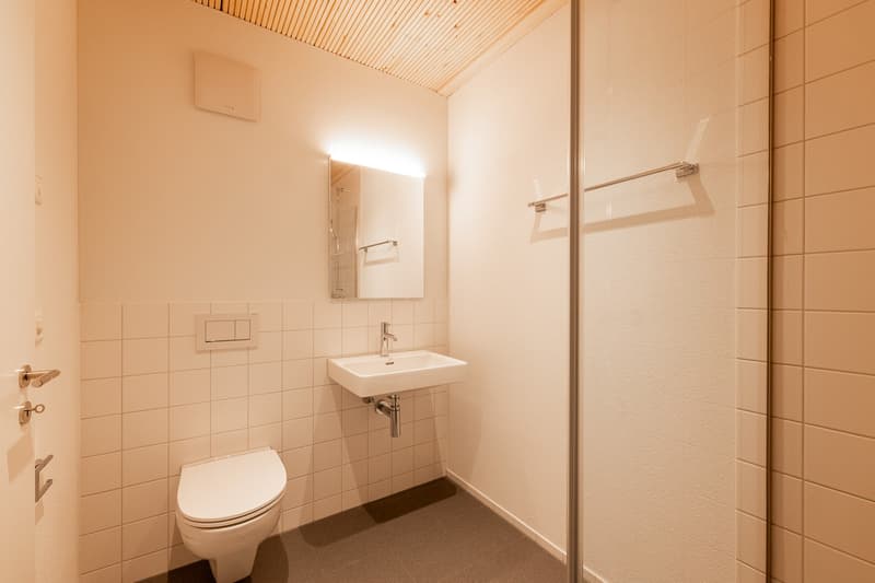 Ihre Traumwohnung  Stil und Qualität (9)