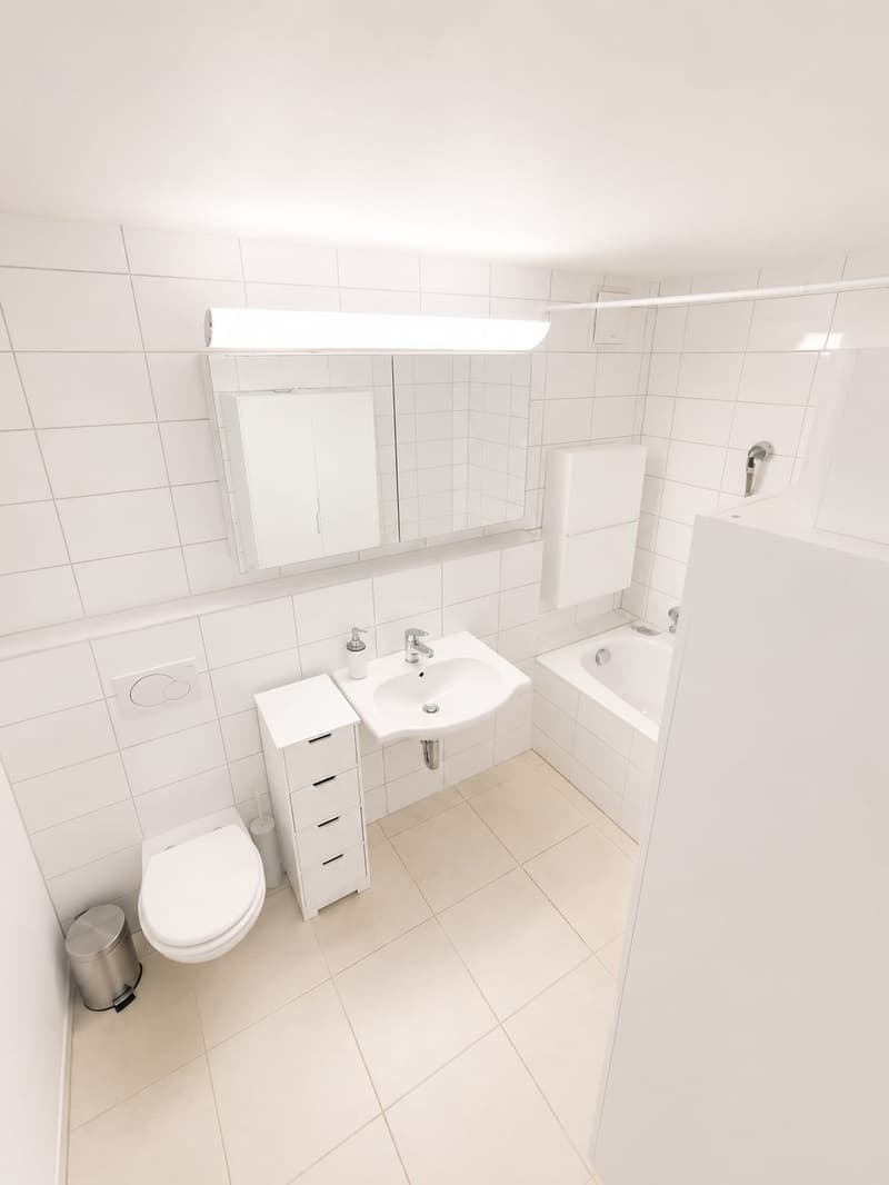 Modern, spacious, and bright apartment in Bonstetten seeking subtenant (7)