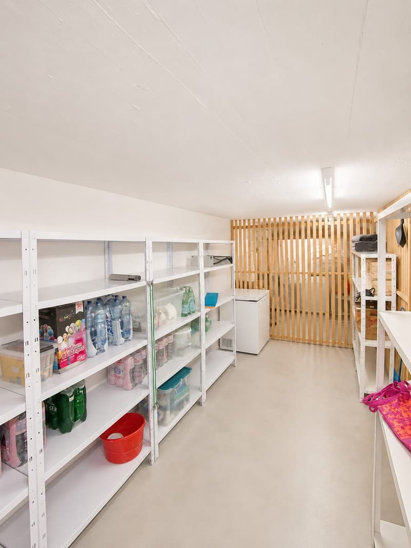 Modern, spacious, and bright apartment in Bonstetten seeking subtenant (12)