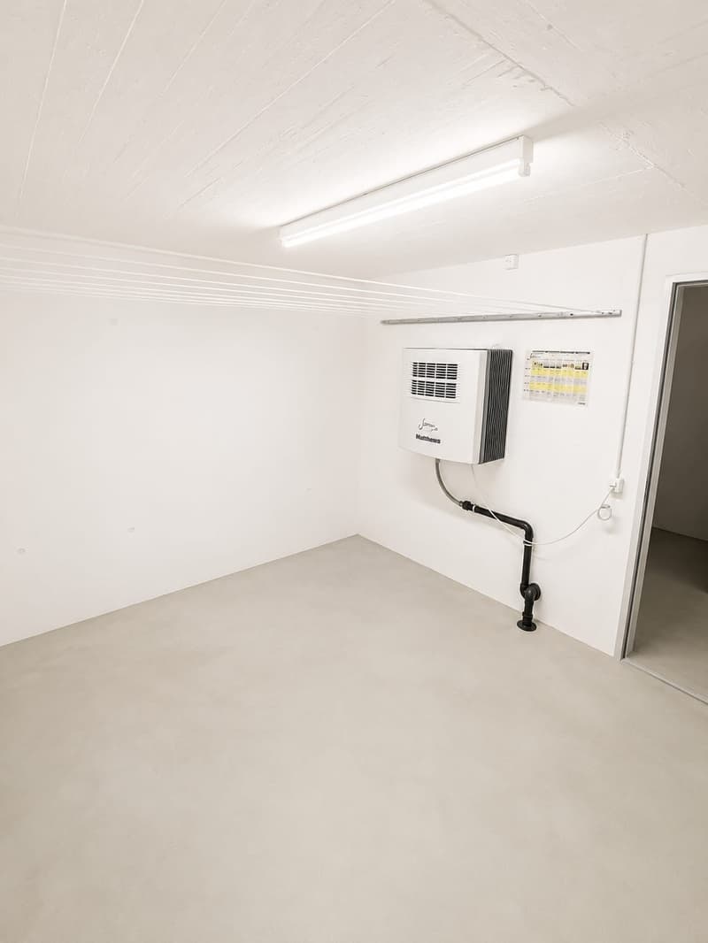 Modern, spacious, and bright apartment in Bonstetten seeking subtenant (9)