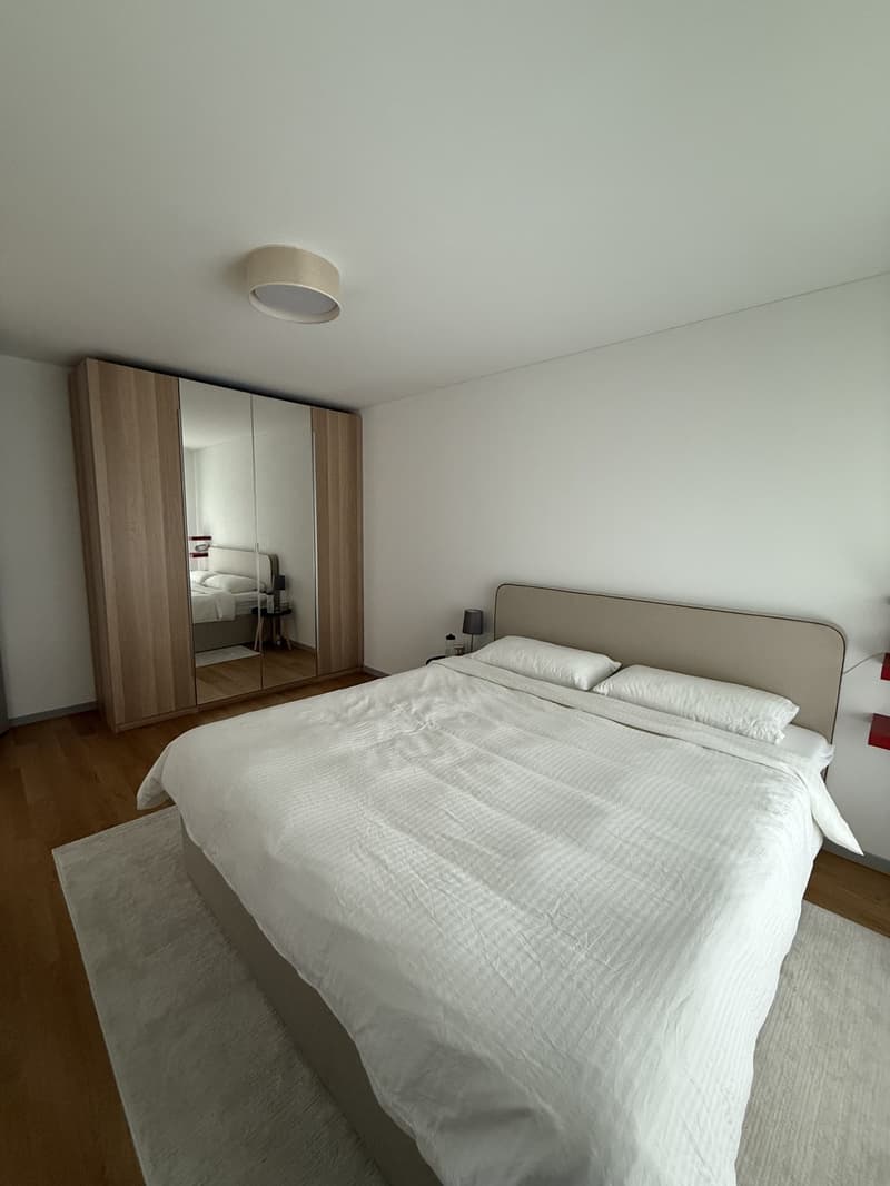 2 ½ rooms apartment, 8908 Hedingen (5)