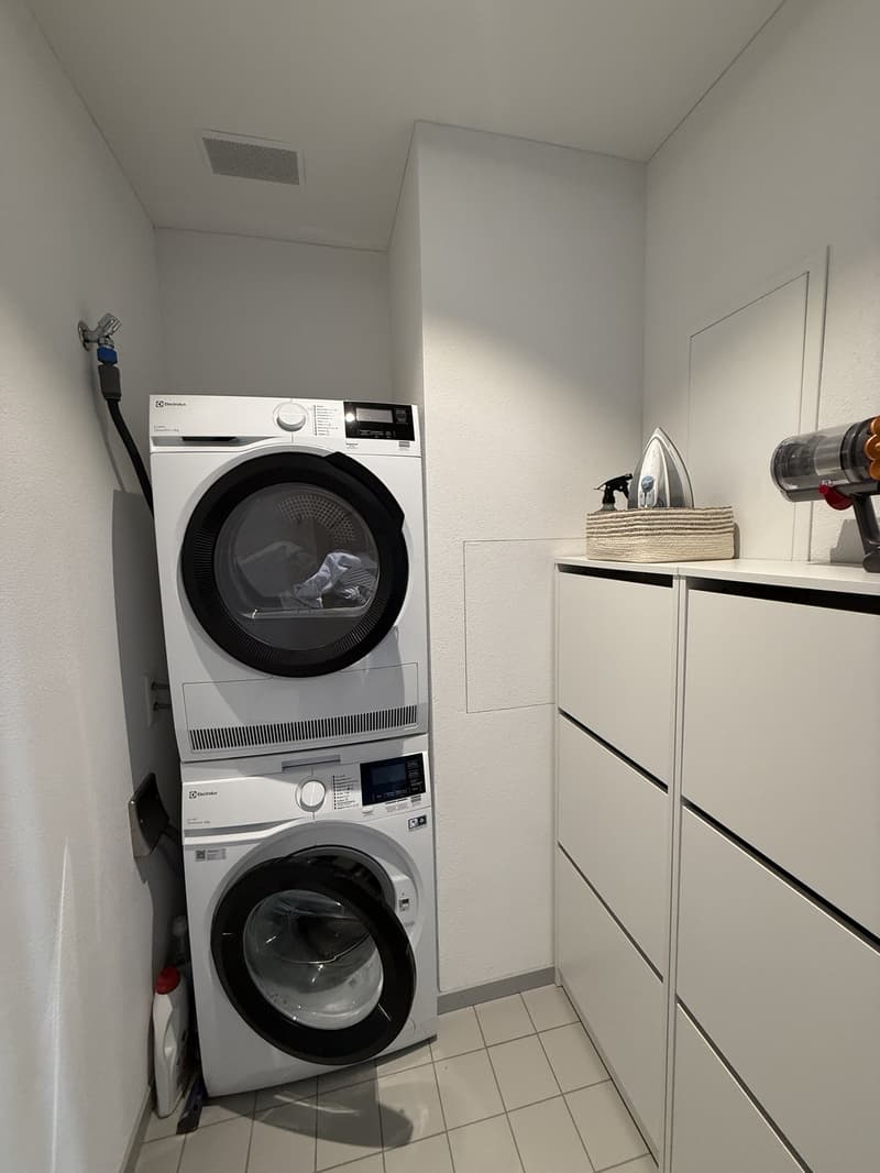 2 ½ rooms apartment, 8908 Hedingen (7)
