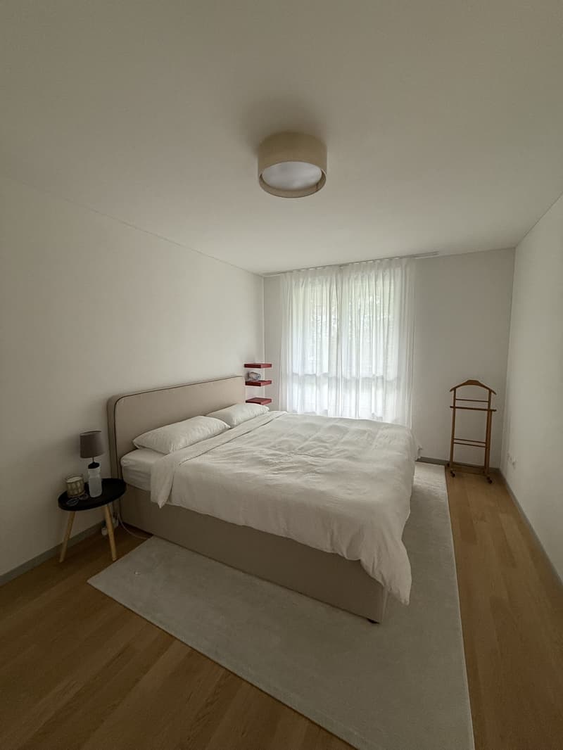 2 ½ rooms apartment, 8908 Hedingen (6)