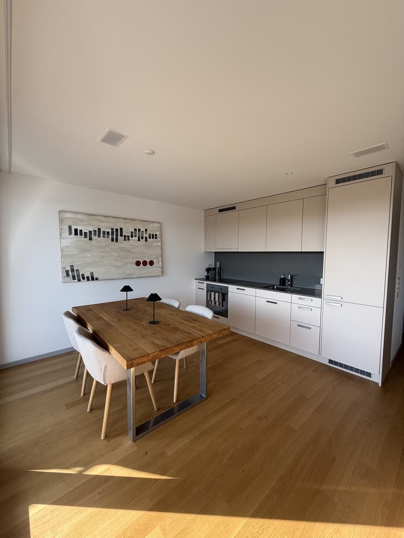 2 ½ rooms apartment, 8908 Hedingen (2)