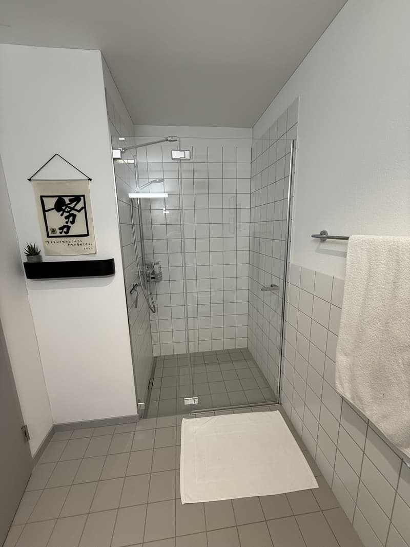 2 ½ rooms apartment, 8908 Hedingen (9)