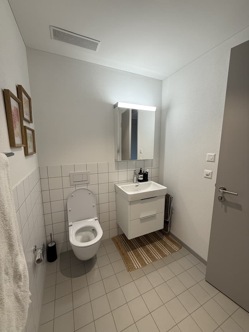 2 ½ rooms apartment, 8908 Hedingen (8)