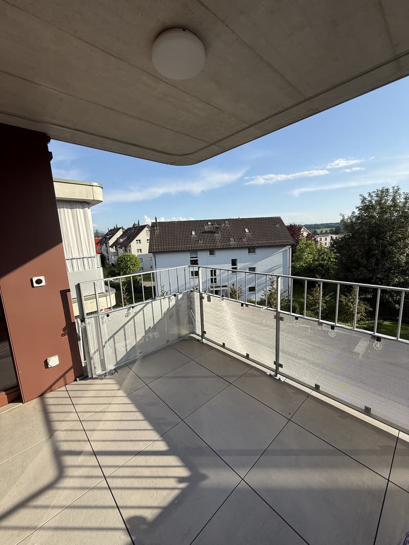 2 ½ rooms apartment, 8908 Hedingen (3)