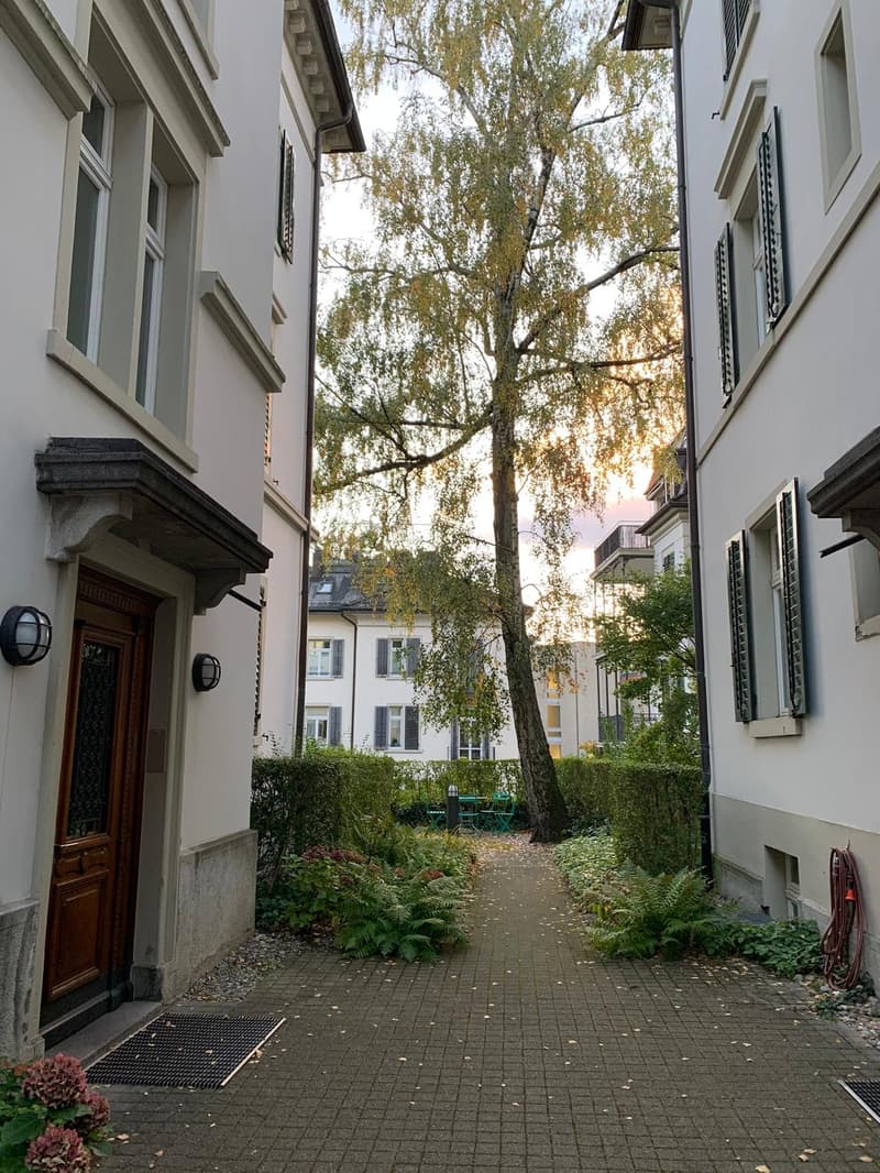 WG-Zimmer in unserer wunderschönen Wohnung in Hottingen wird frei. (7)
