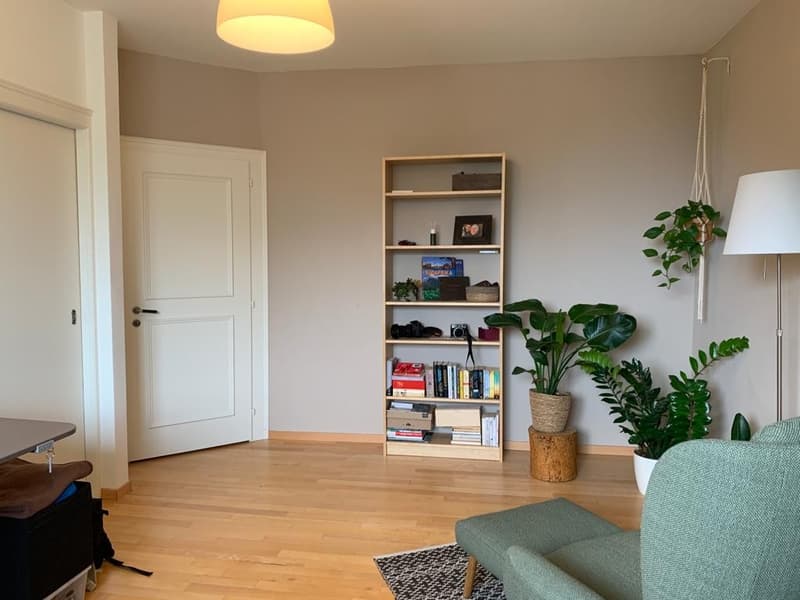 WG-Zimmer in unserer wunderschönen Wohnung in Hottingen wird frei. (5)
