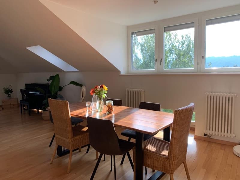 WG-Zimmer in unserer wunderschönen Wohnung in Hottingen wird frei. (2)