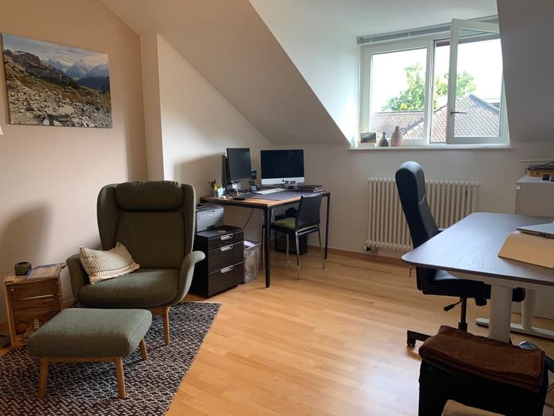 WG-Zimmer in unserer wunderschönen Wohnung in Hottingen wird frei. (6)
