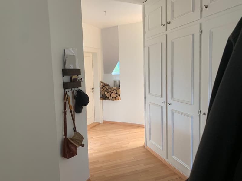 WG-Zimmer in unserer wunderschönen Wohnung in Hottingen wird frei. (3)