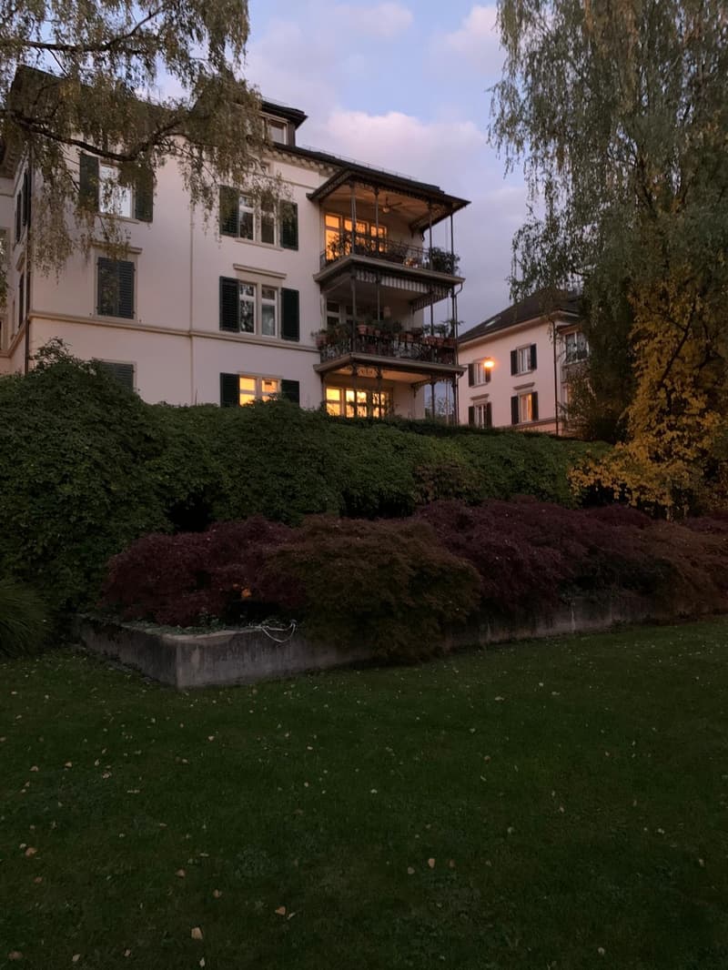 WG-Zimmer in unserer wunderschönen Wohnung in Hottingen wird frei. (8)