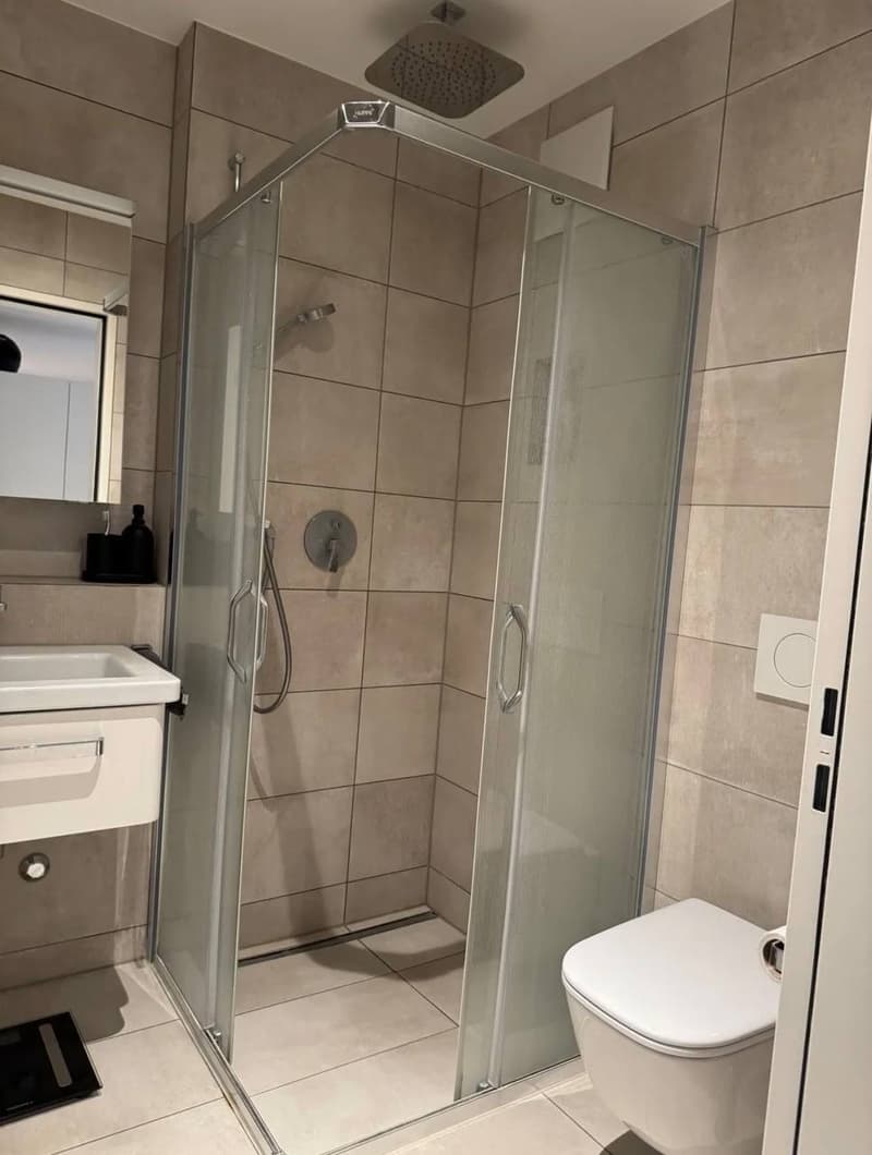 1 ½ pièces appartement, 8048 Zurich (5)