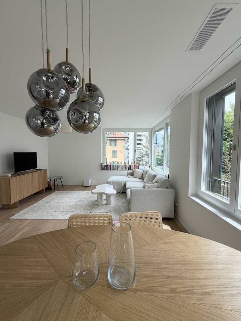Beautiful apartment for sublet  Wollishofen, Zurich (7)