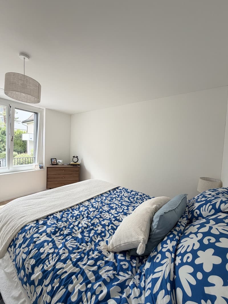 Beautiful apartment for sublet  Wollishofen, Zurich (4)