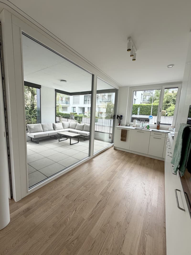 Beautiful apartment for sublet  Wollishofen, Zurich (3)