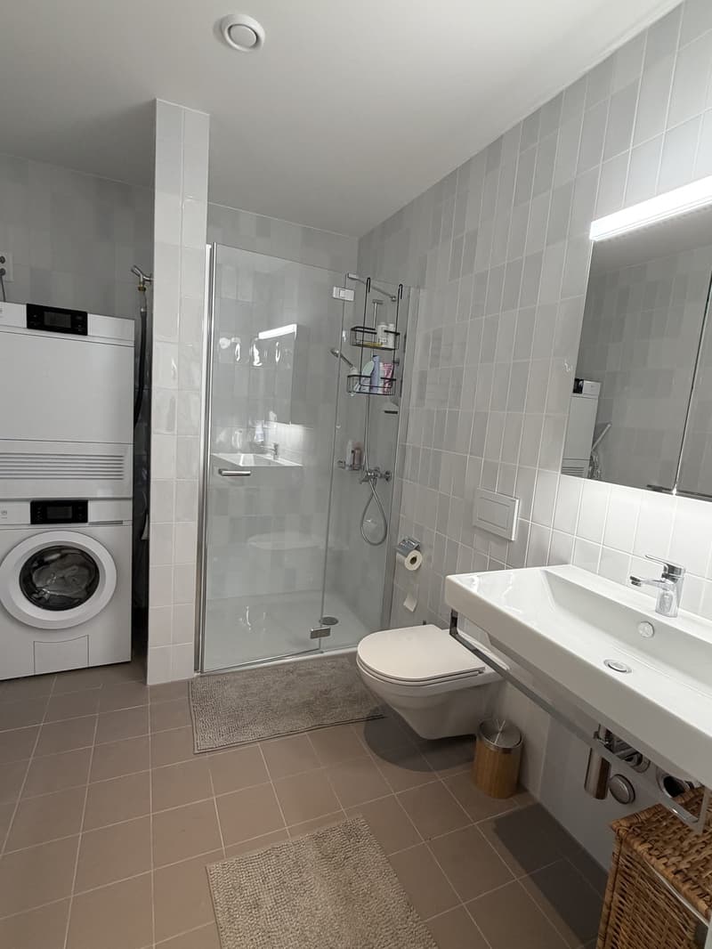 Beautiful apartment for sublet  Wollishofen, Zurich (5)