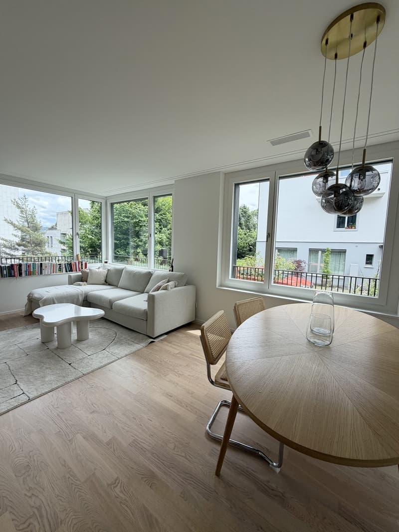 Beautiful apartment for sublet  Wollishofen, Zurich (6)