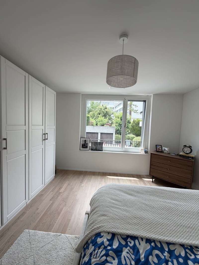 Beautiful apartment for sublet  Wollishofen, Zurich (2)