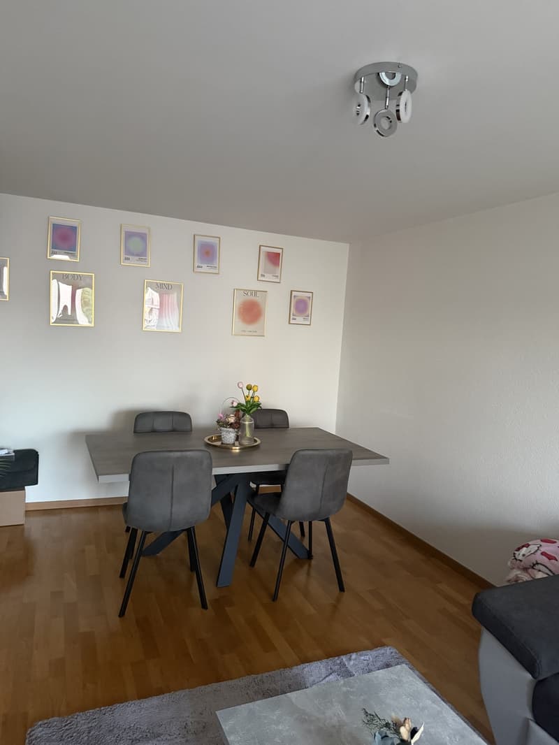 Apartment in close proximity to Oberglatt train station (8)