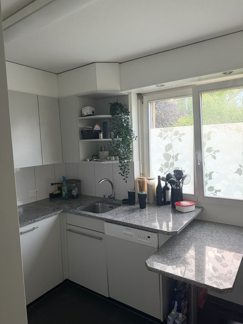 Apartment in close proximity to Oberglatt train station (11)