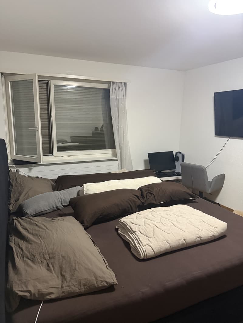 Apartment in close proximity to Oberglatt train station (9)