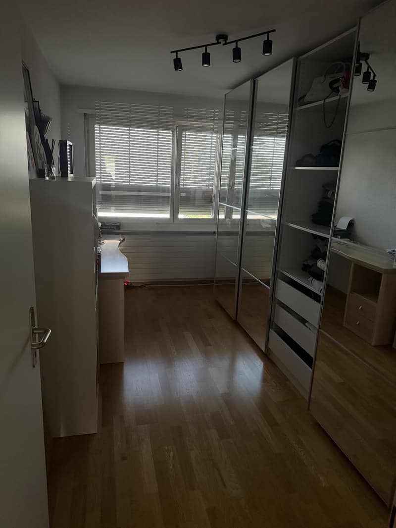Apartment in close proximity to Oberglatt train station (3)