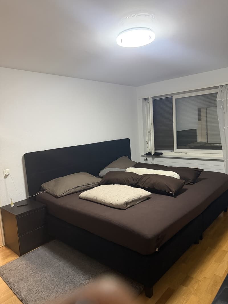 Apartment in close proximity to Oberglatt train station (7)