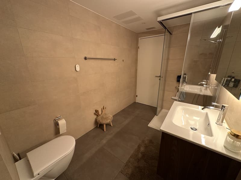 Appartement meublé de 3,5 pièces à Horgen avec vue sur le lac spacieuse, limité à 4 mois (7)