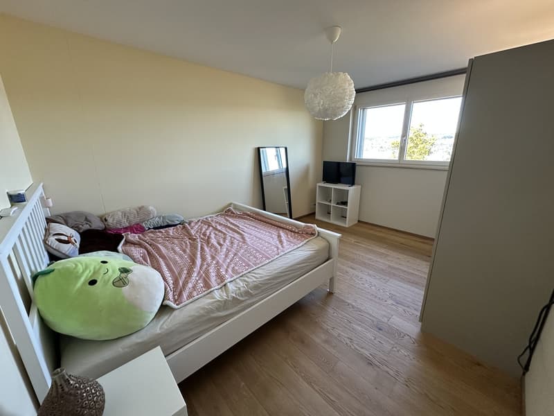 Appartement meublé de 3,5 pièces à Horgen avec vue sur le lac spacieuse, limité à 4 mois (5)